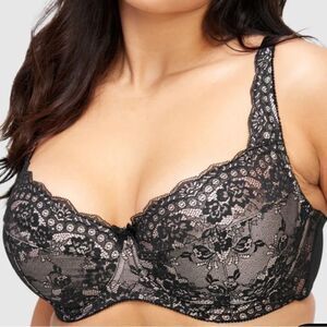 Fredricks Of Hollywood Voluptuous Full Figure Push Up Bra Blk 36DD NWT IN PKG